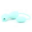 (image for) Cute Dinosaur 2-in-1 Clit Sucker & Bullet Vibrator
