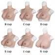 (image for) Breastplates Crossdresser Fake Tits - Silicone