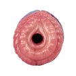 (image for) Geeba Dragon Pocket Vagina Masturbator - 04