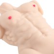 (image for) Male Torso Sex Doll