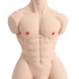 (image for) Male Torso Sex Doll
