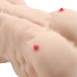 (image for) Male Torso Sex Doll