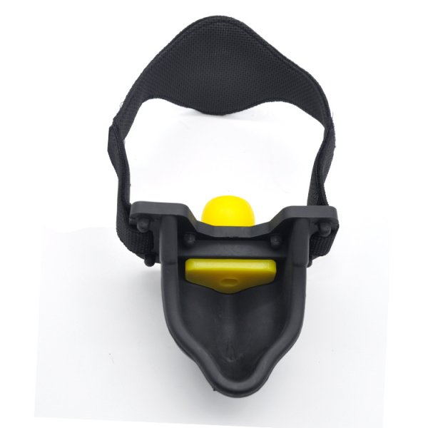 (image for) Urinal Gag