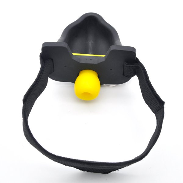 (image for) Urinal Gag