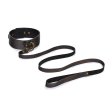 (image for) Vintage Style Collar with Leash