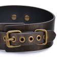 (image for) Vintage Style Collar with Leash