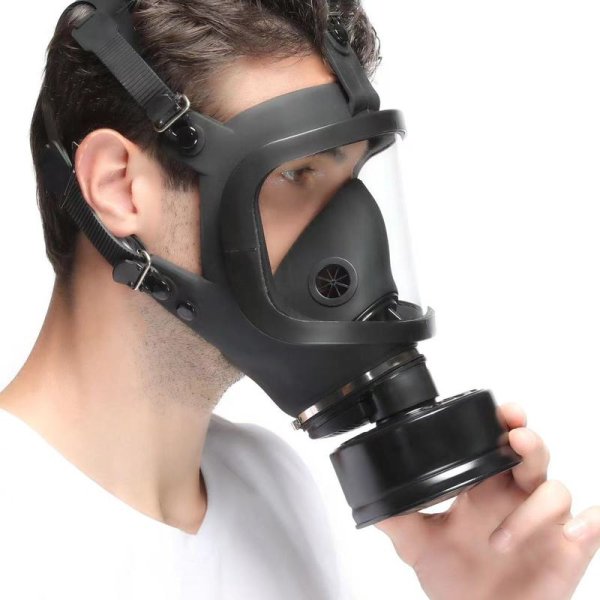 (image for) Gas Masks Full Face Cover Respirator