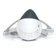 (image for) Filter Type Dust Mask