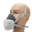 (image for) Filter Type Dust Mask
