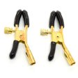 (image for) Beginner Erotic Breast Clips