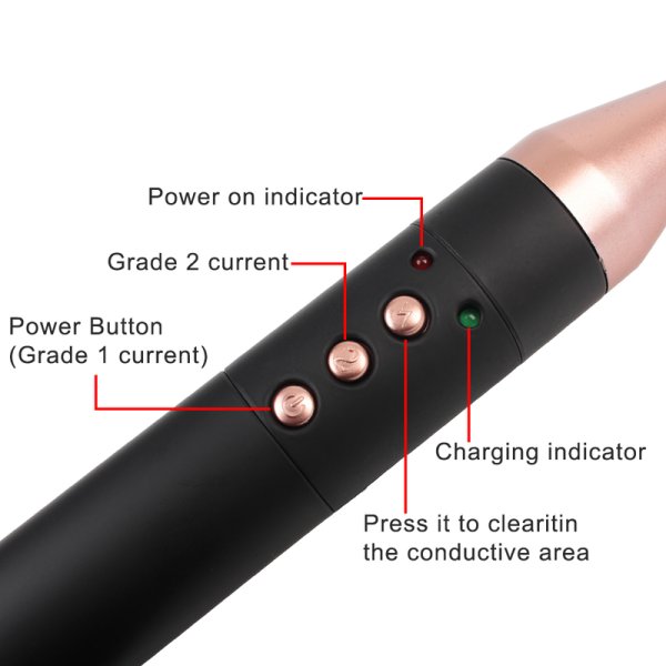 (image for) Passionate Electric Pulse Cane