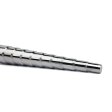 (image for) Steel Penis Plug With Scale