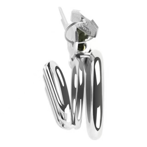(image for) Plate Cage Chastity Device