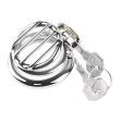 (image for) Plate Cage Chastity Device