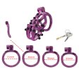 (image for) Cobra Male Chastity Cage Removable Spikes