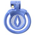 (image for) Clit Cage With 5 Arc Rings -XX2