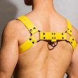 (image for) DM Buckle Leather Chest Harness