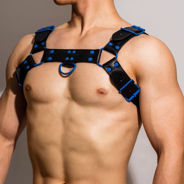 (image for) Fetish Gear Coloured H-Front Harness
