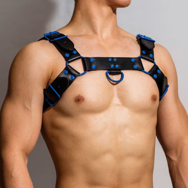 (image for) Fetish Gear Coloured H-Front Harness
