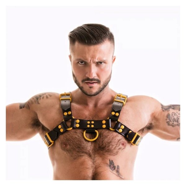 (image for) Fetish Gear Coloured H-Front Harness