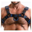 (image for) Fetish Gear Coloured H-Front Harness