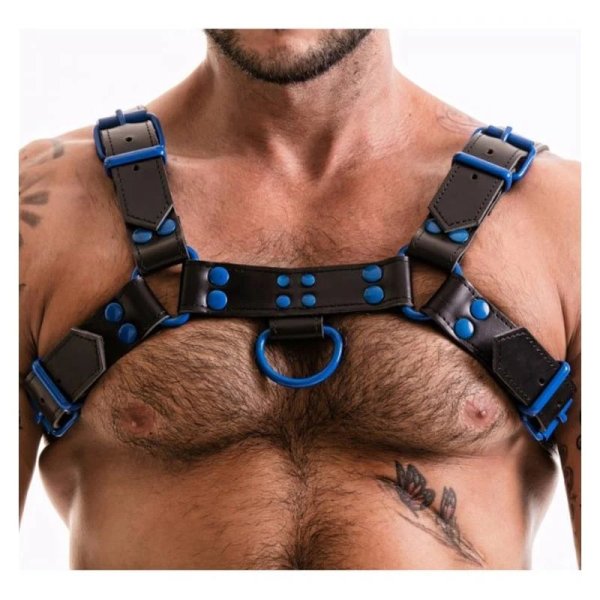 (image for) Fetish Gear Coloured H-Front Harness
