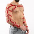 (image for) Arm and Shoulder Restraints Harness
