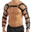 (image for) Arm and Shoulder Restraints Harness