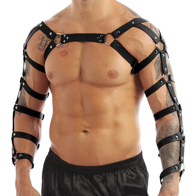 (image for) Arm and Shoulder Restraints Harness
