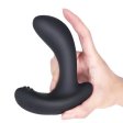 (image for) Inflatable Vibration Anal Plug
