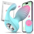 (image for) Dual Motors Anal Plug