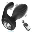 (image for) Dual Motors Anal Plug