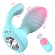 (image for) Dual Motors Anal Plug