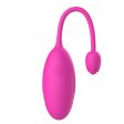 (image for) App Remote Control Double-head Rose Egg Vibrator