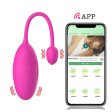 (image for) App Remote Control Double-head Rose Egg Vibrator