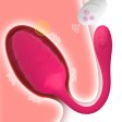 (image for) Armor Wireless Bullet Vibrator