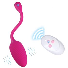 Little Vibrating Egg