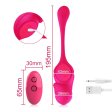(image for) Wearable Vibrating Panty Dildo Vibrator