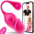 (image for) Wearable Vibrating Panty Dildo Vibrator