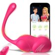 (image for) Wearable Vibrating Panty Dildo Vibrator