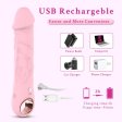 (image for) KingTent Dildo Vibrator