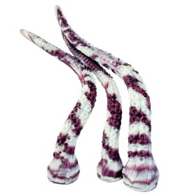 Multi-colored Octopus Shaped Silicone Butt Plugs