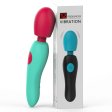 (image for) Romandy Wand Massager