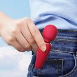 (image for) Cute Ice Cream Mini Wand Vibrator