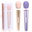 (image for) Personal Wand Massager