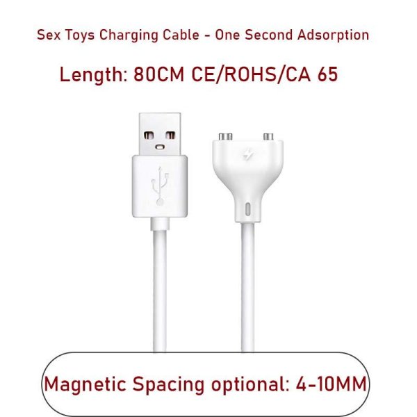 (image for) Magnetic USB DC Charger Cable