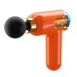 (image for) G.Duck Portable Mini Massage Gun