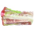 (image for) Dual Pleasure Silicone Pocket Pussy - E