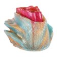 (image for) Pocket Silicone Glans Trainer - Mermaid