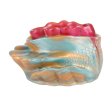 (image for) Pocket Silicone Glans Trainer - Mermaid